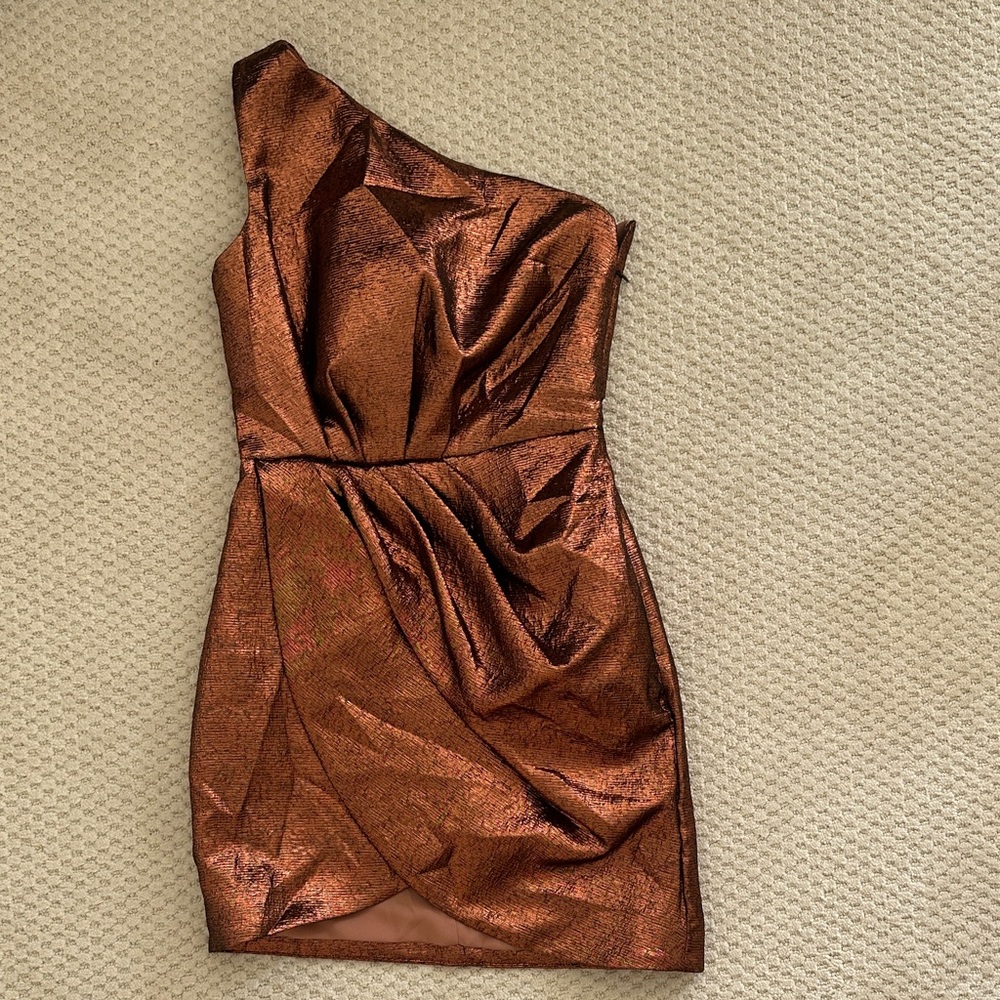 x Revolve Harrison Mini Dress